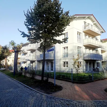 Fuerstenhof - Sonnenblume *